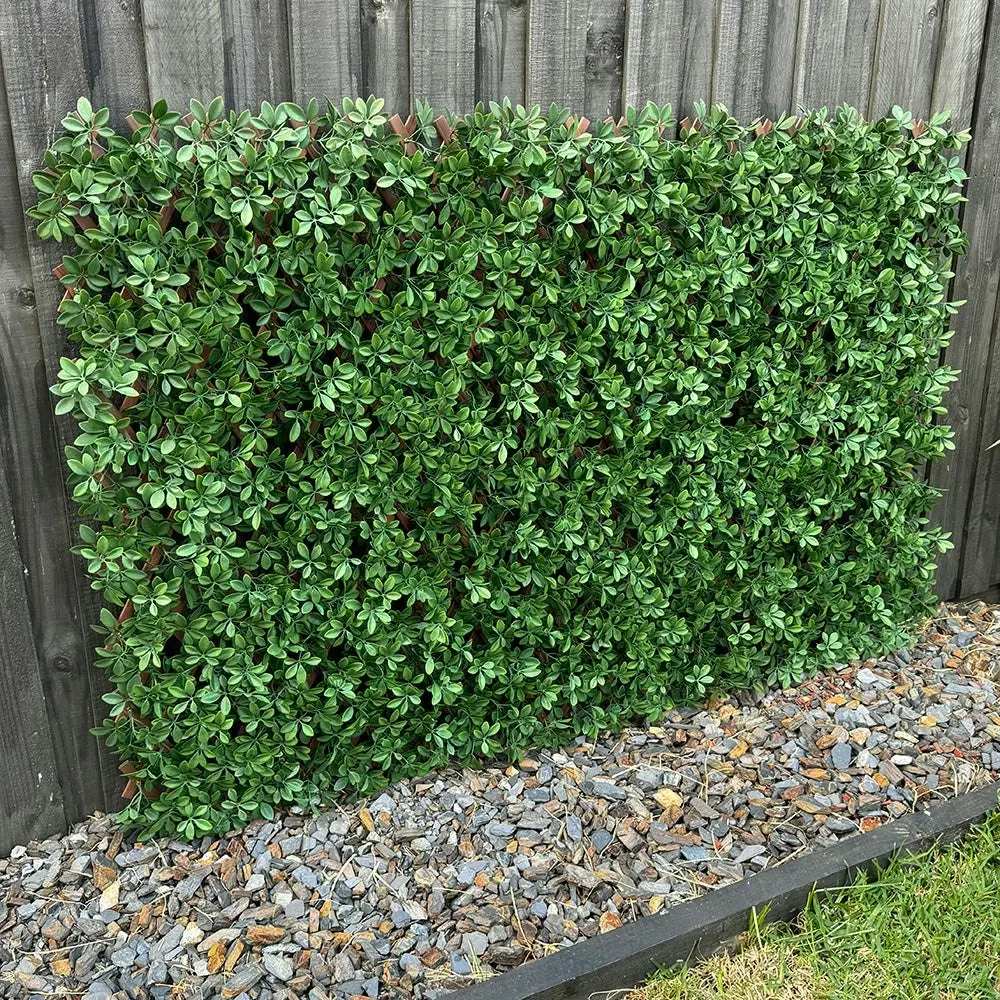 Expanding Trellis Screening - UV Protected Dark Green Barberry