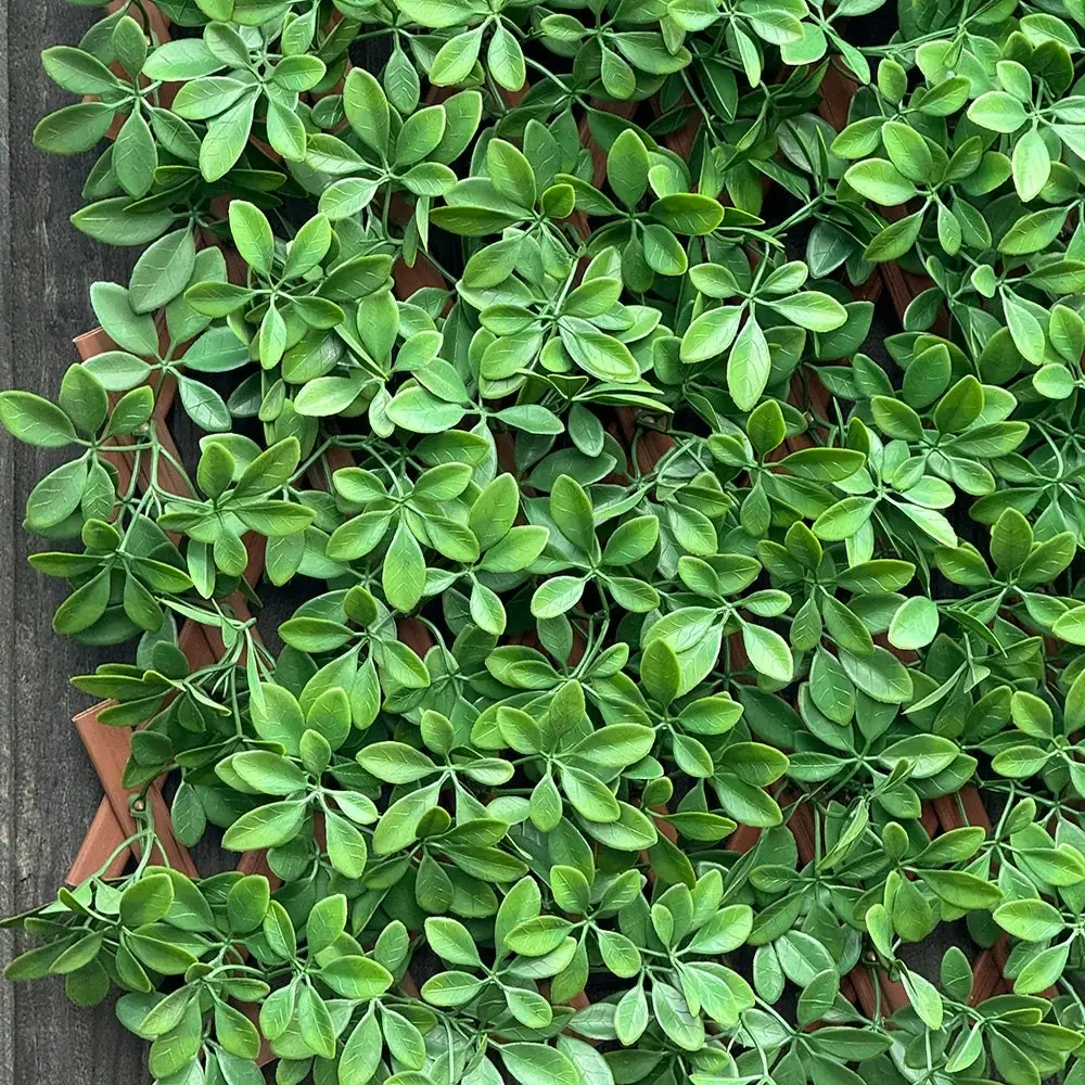 Expanding Trellis Screening - UV Protected Dark Green Barberry