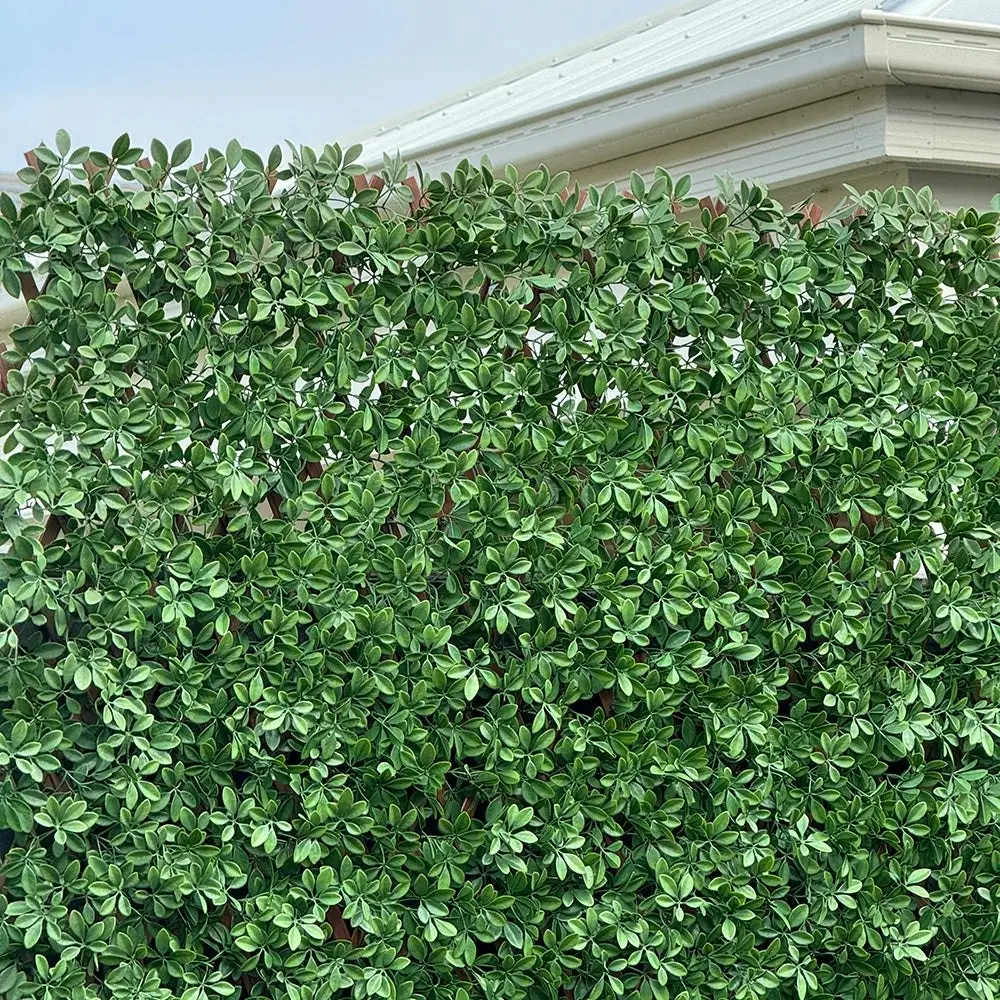 Expanding Trellis Screening - UV Protected Dark Green Barberry