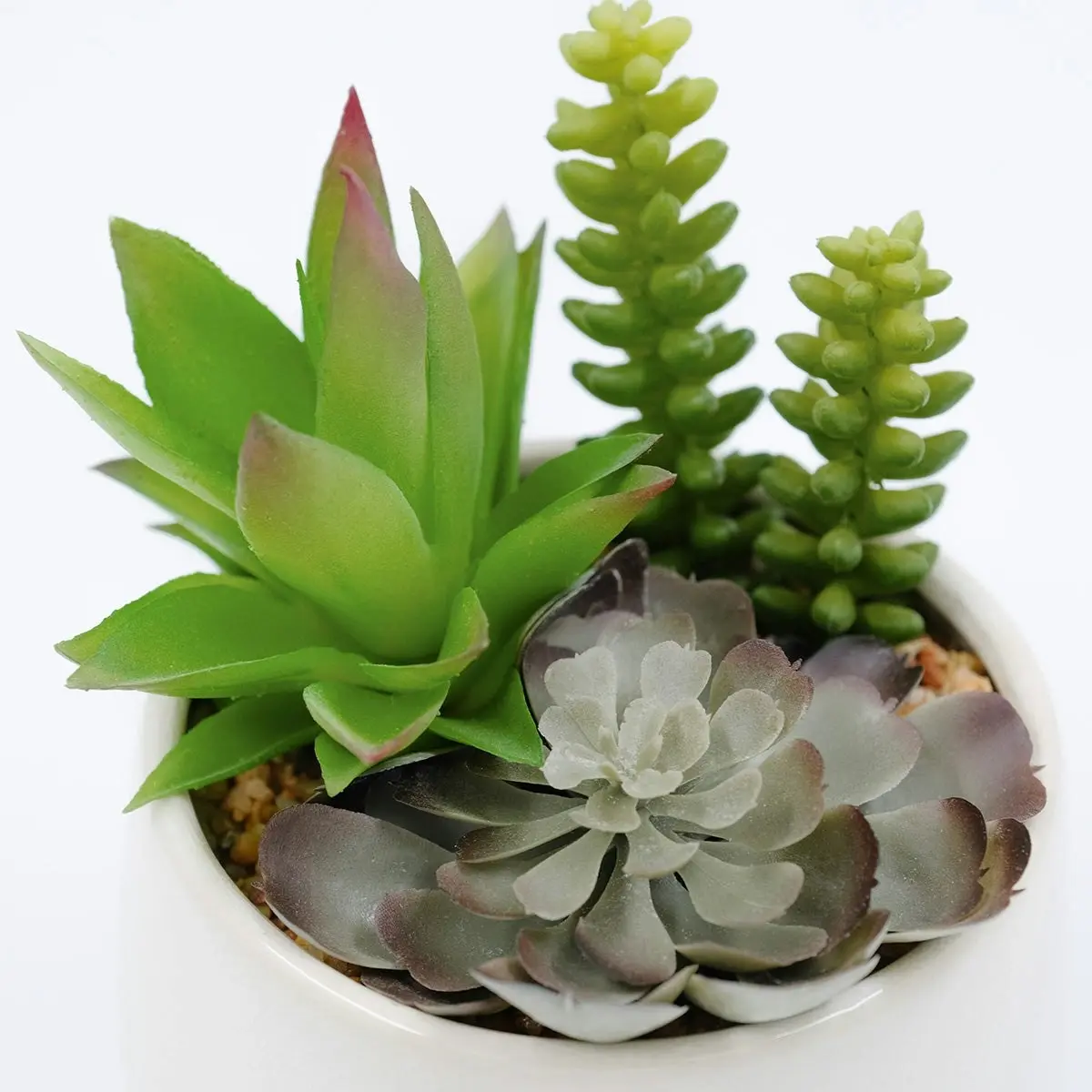 3 pots of Artificial Succulents - Trio in White Pot 19cm