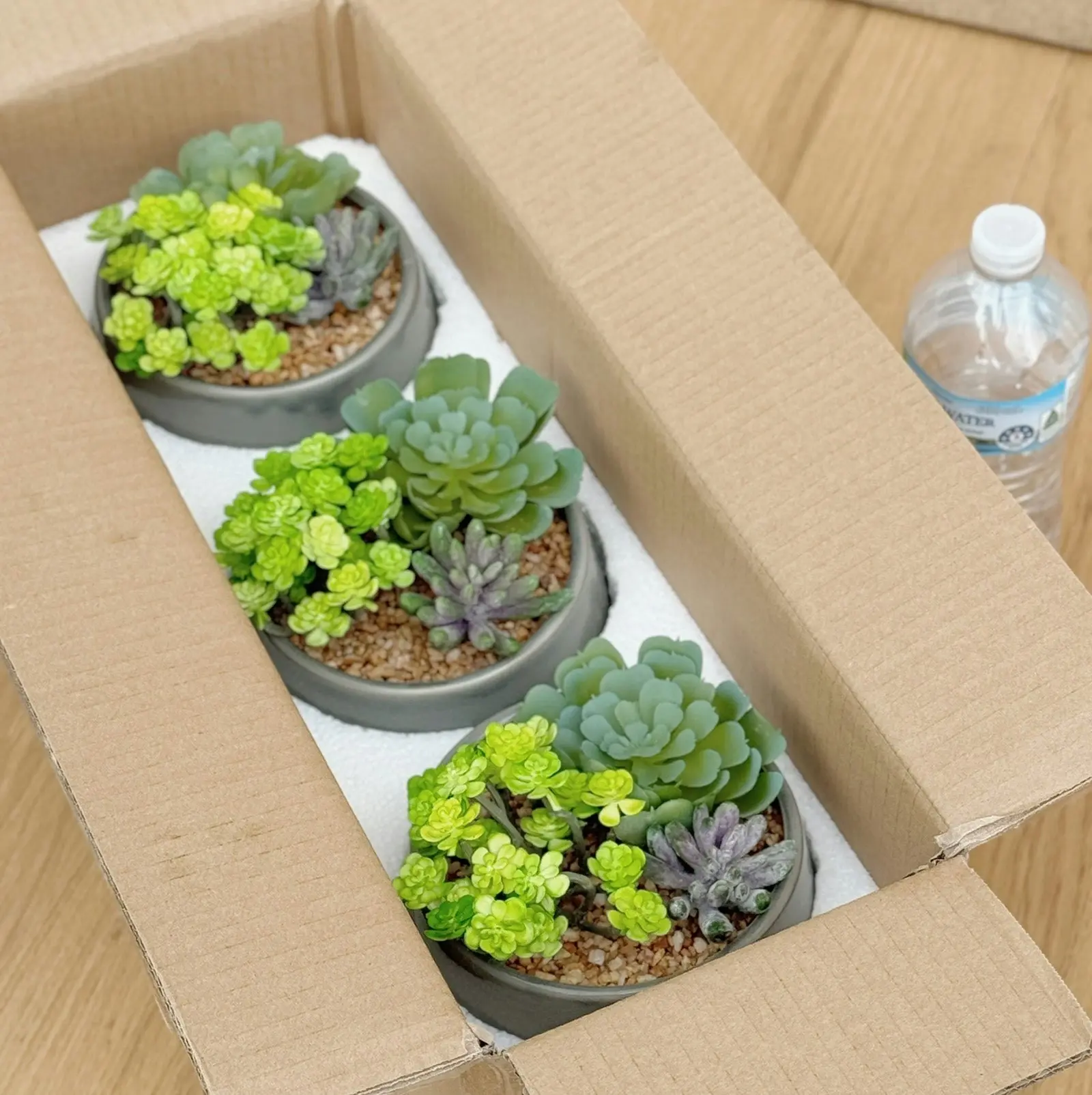 3 pots of Artificial Succulents - Trio in Grey Pot 17cm