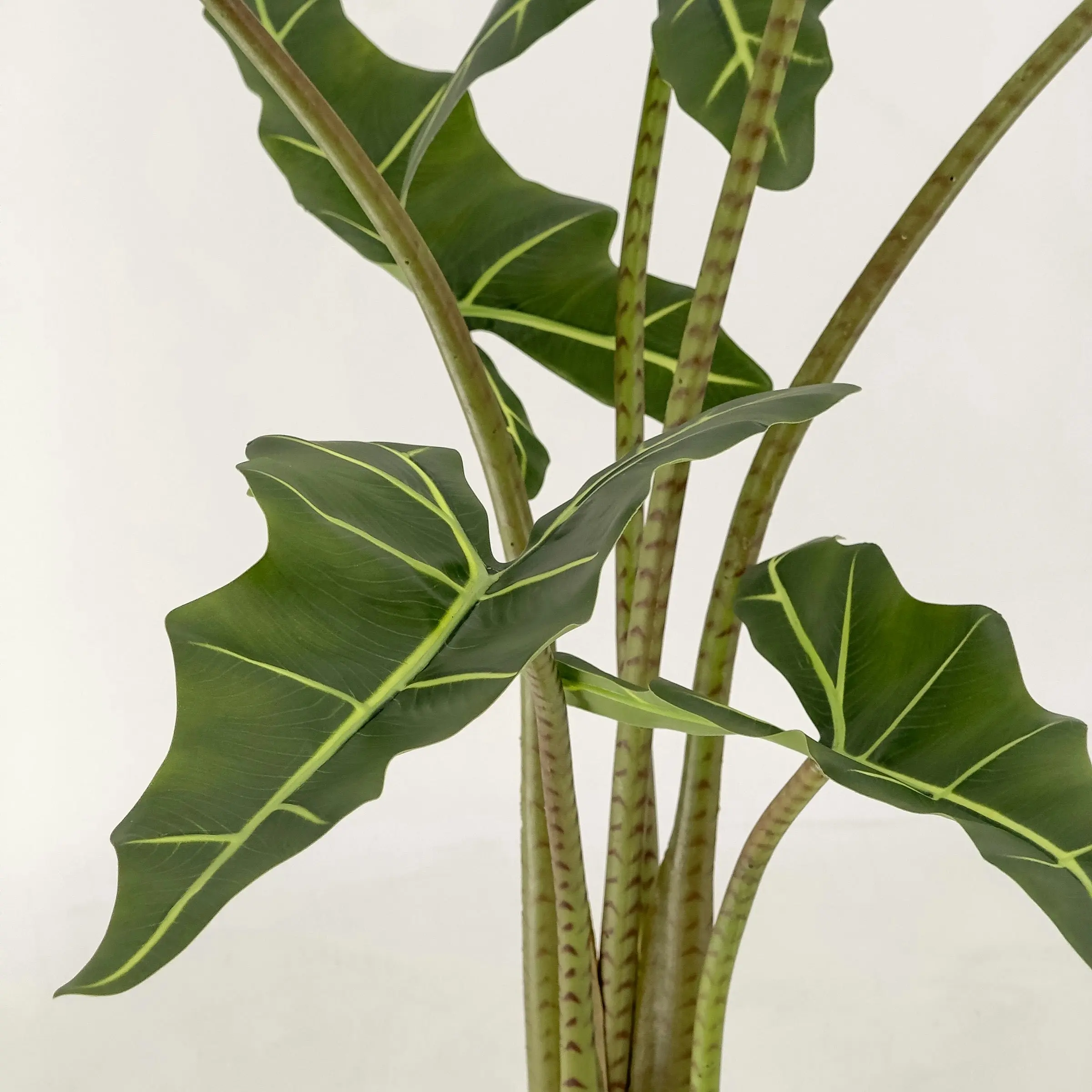 Large Artificial Alocasia (Elephant Ears) Plant 100cm