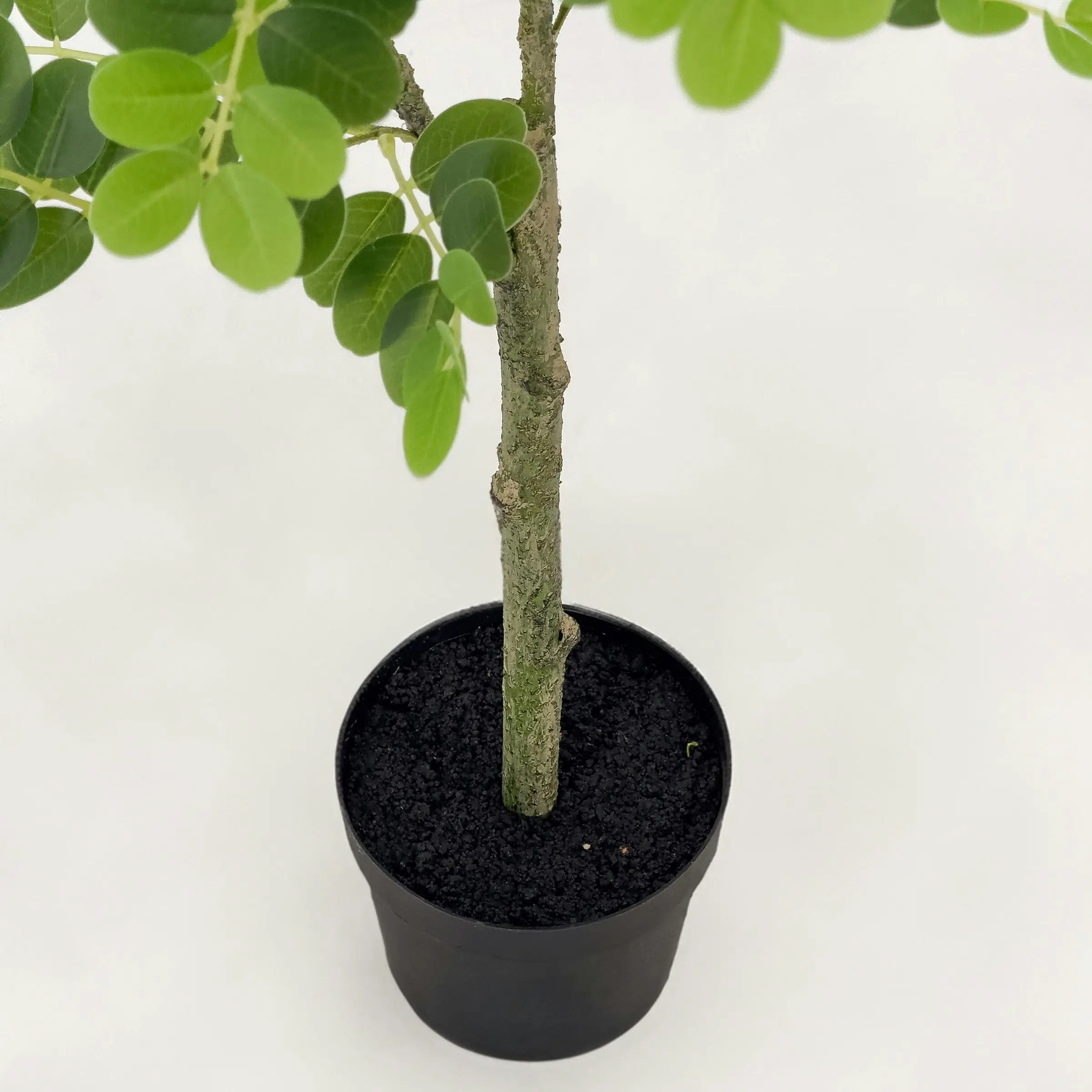 Artificial Japanese Pagoda Tree 90cm