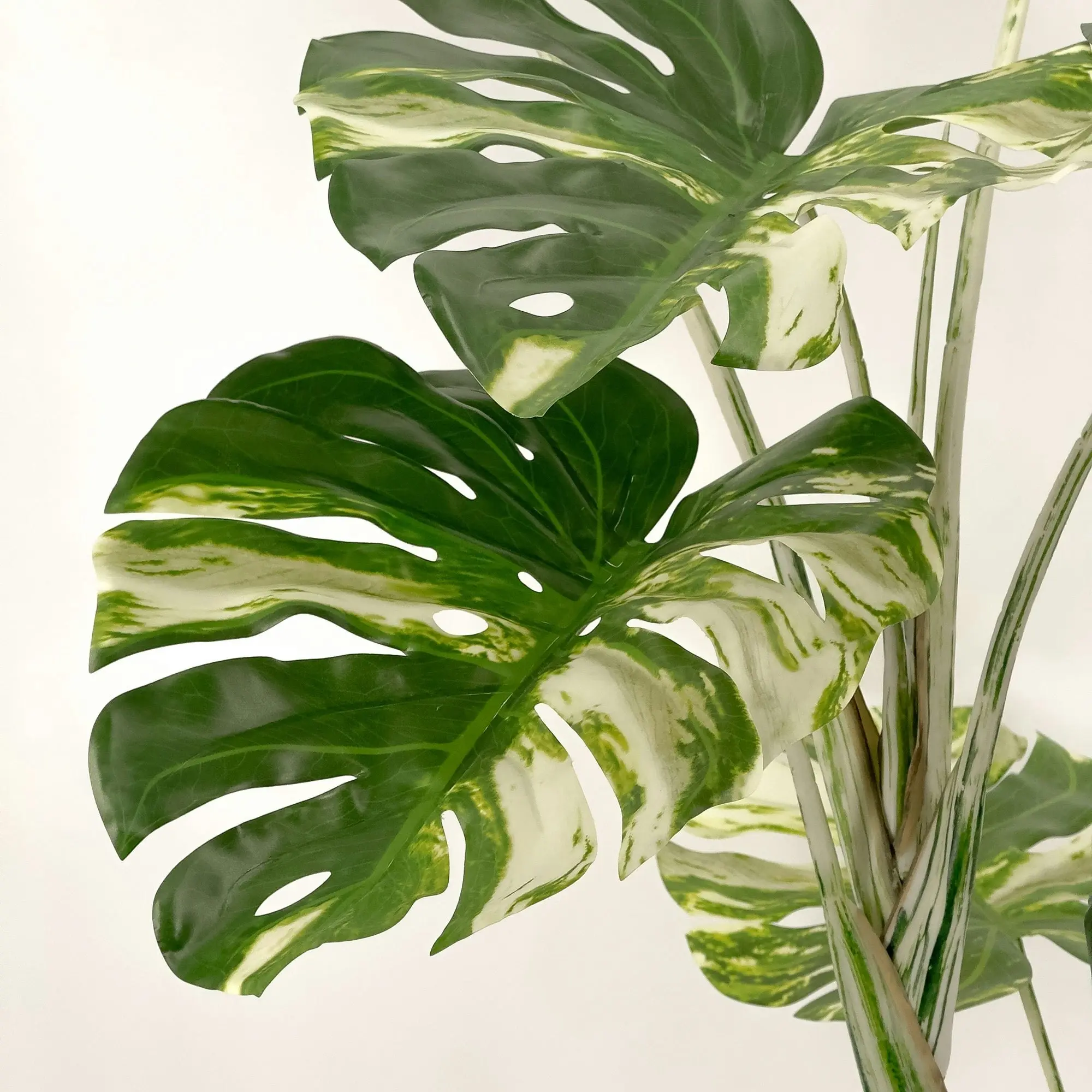 Large Artificial Variegated Monstera Plant 120cm