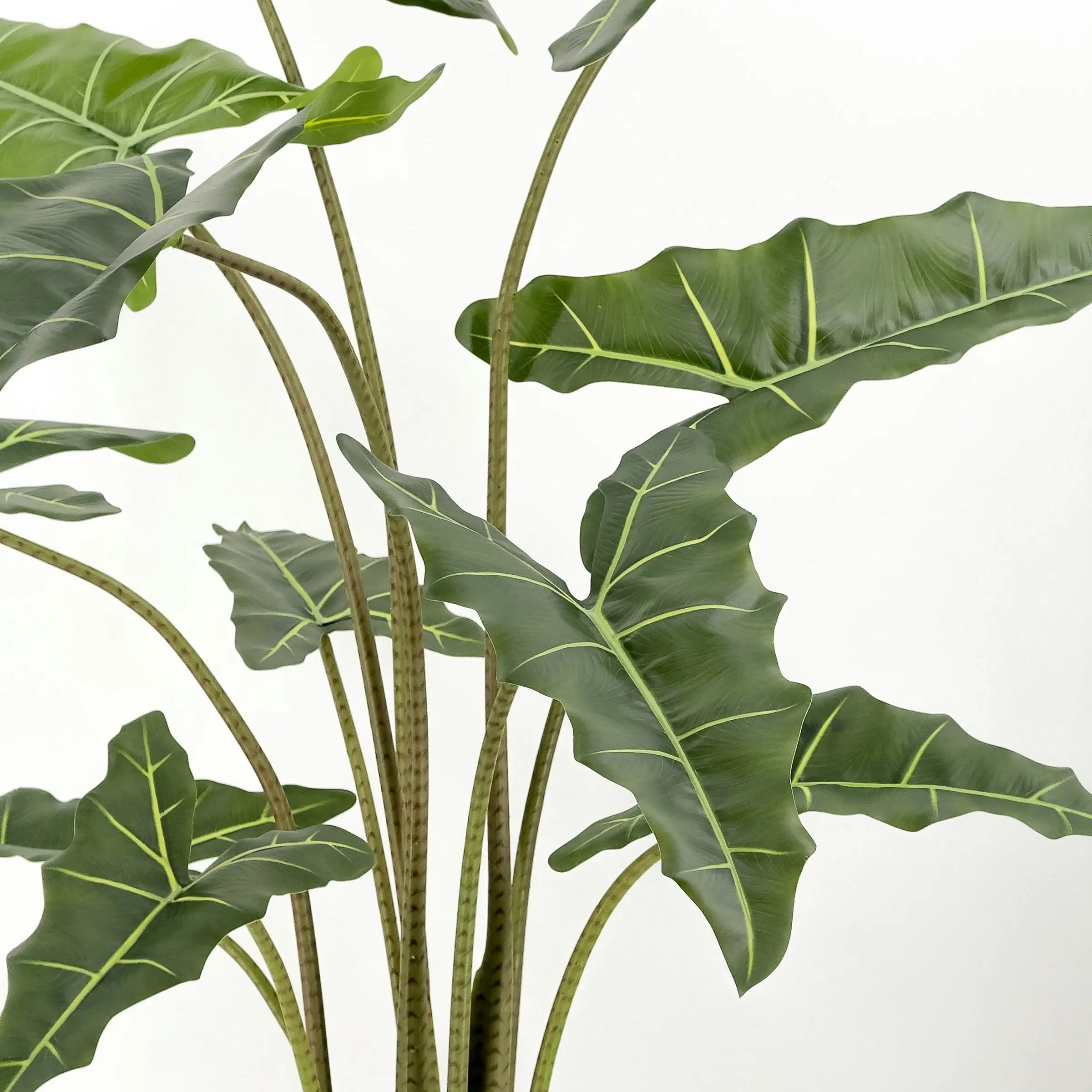 Large Artificial Plants - Alocasia (Elephant Ears) 140cm