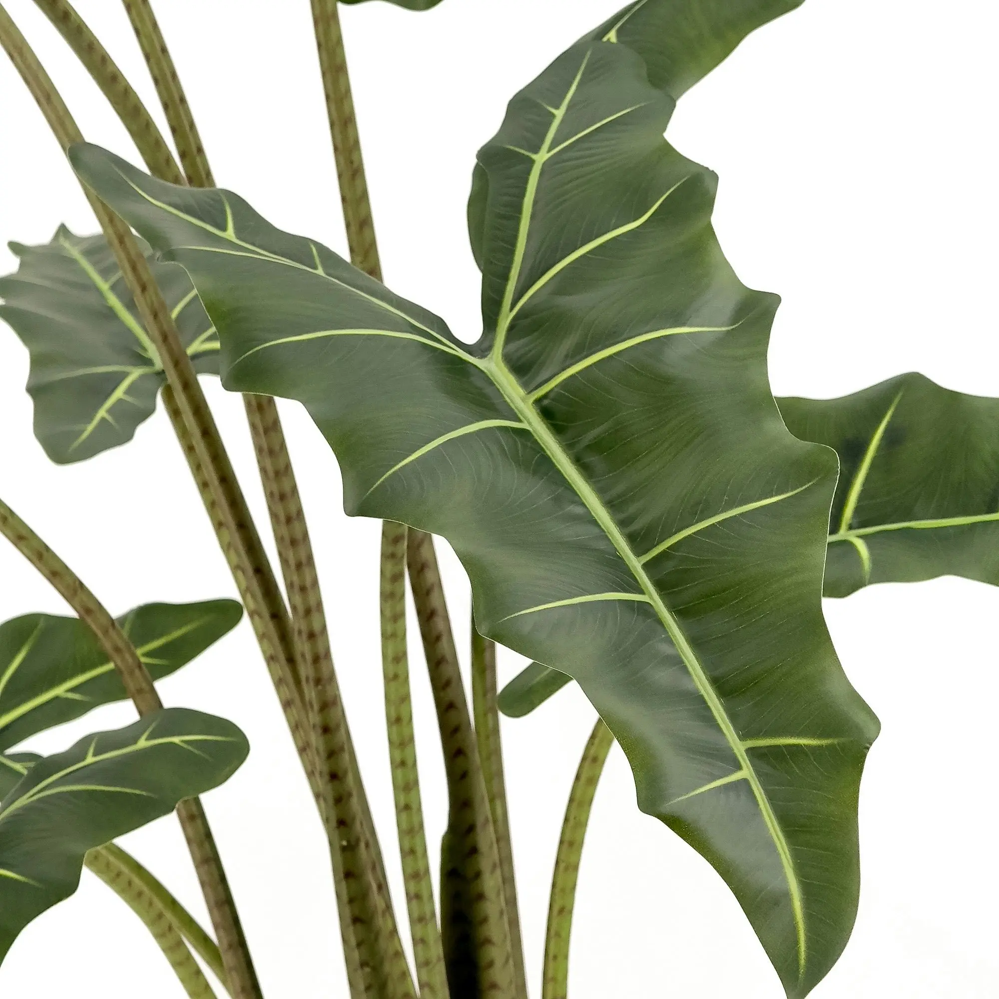 Large Artificial Plants - Alocasia (Elephant Ears) 140cm