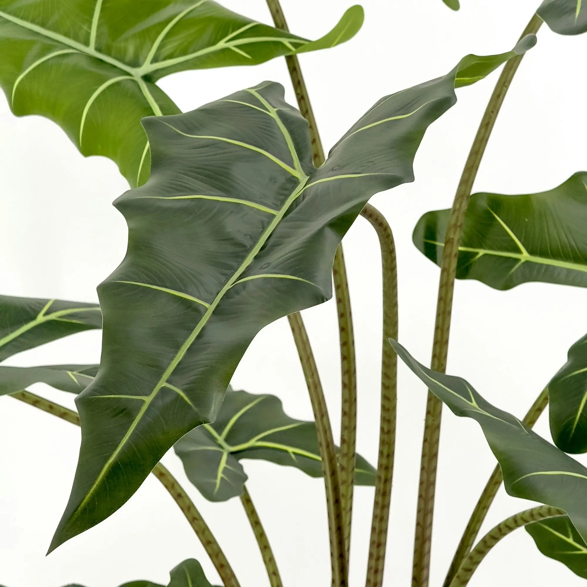 Large Artificial Plants - Alocasia (Elephant Ears) 140cm