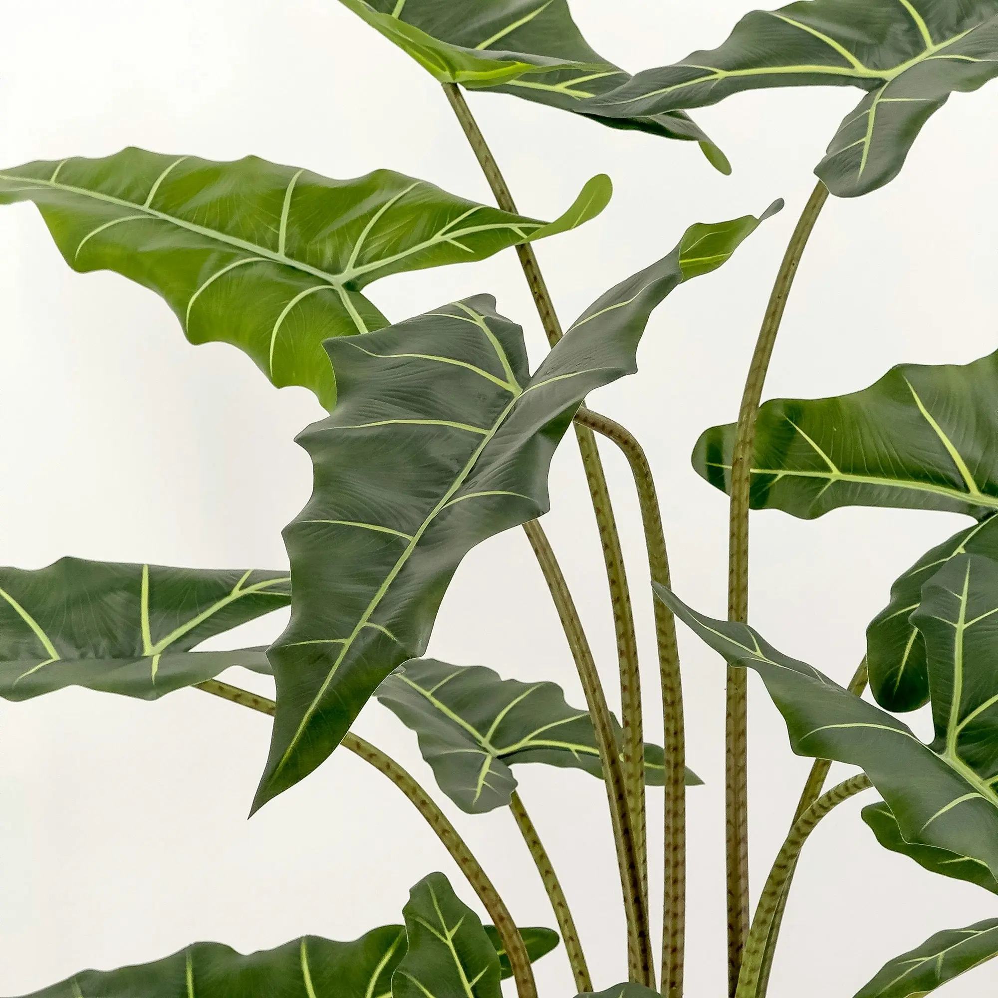 Large Artificial Plants - Alocasia (Elephant Ears) 140cm