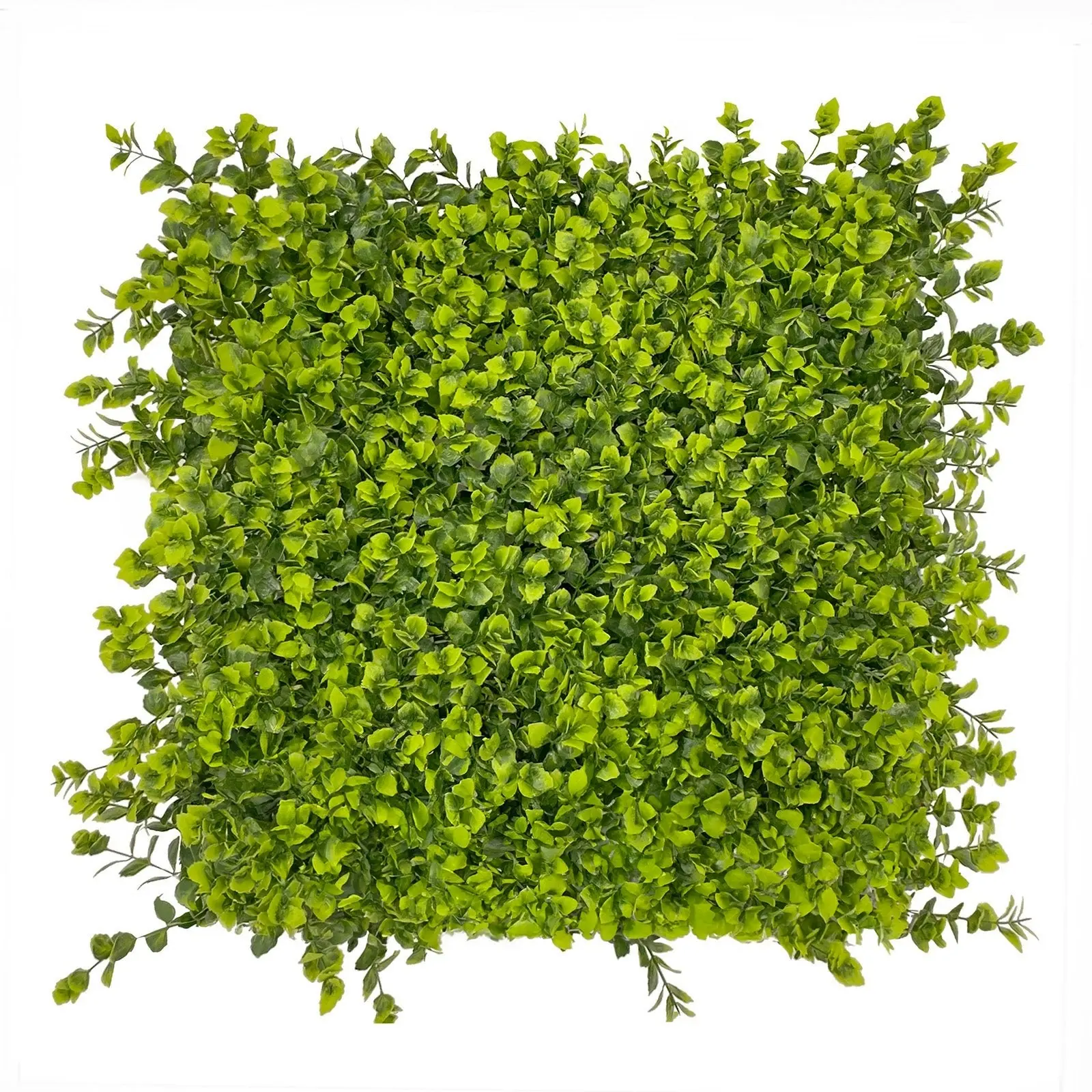 Artificial Hedge Winter Creeper 50x50cm