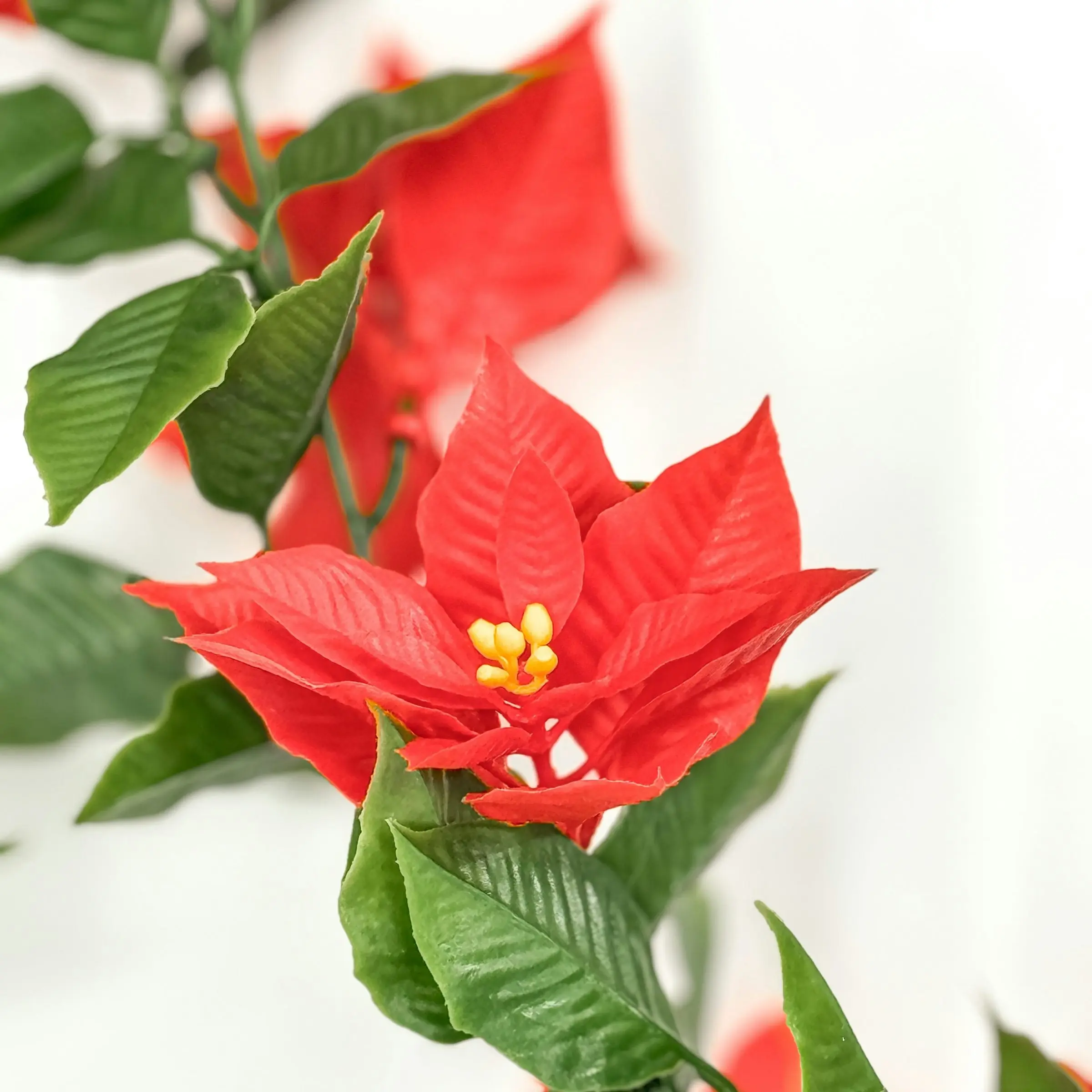 Artificial Garland - Red Poinsettia - 160cm Outdoor