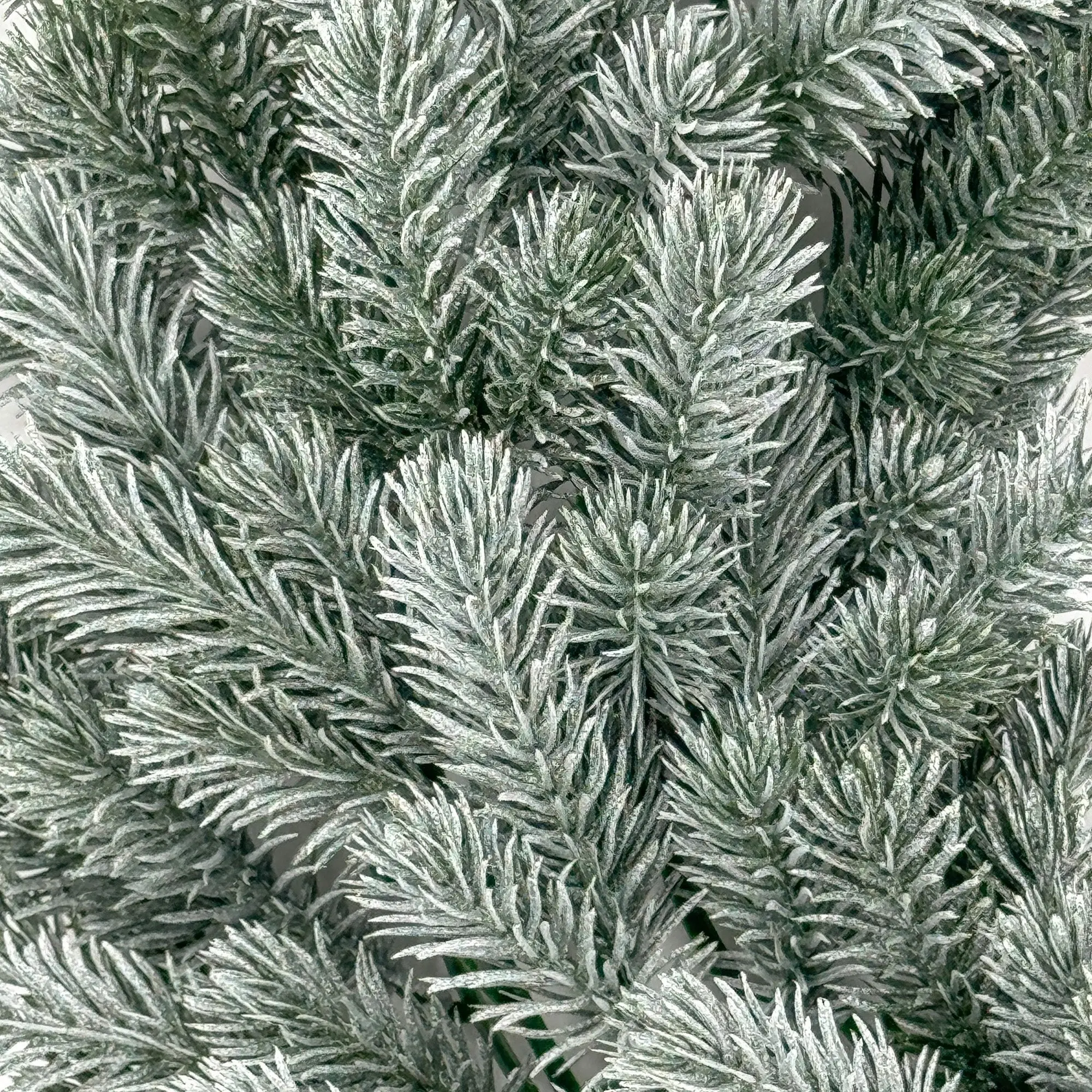 Frosted Pine Christmas Wreath 60cm Outdoor