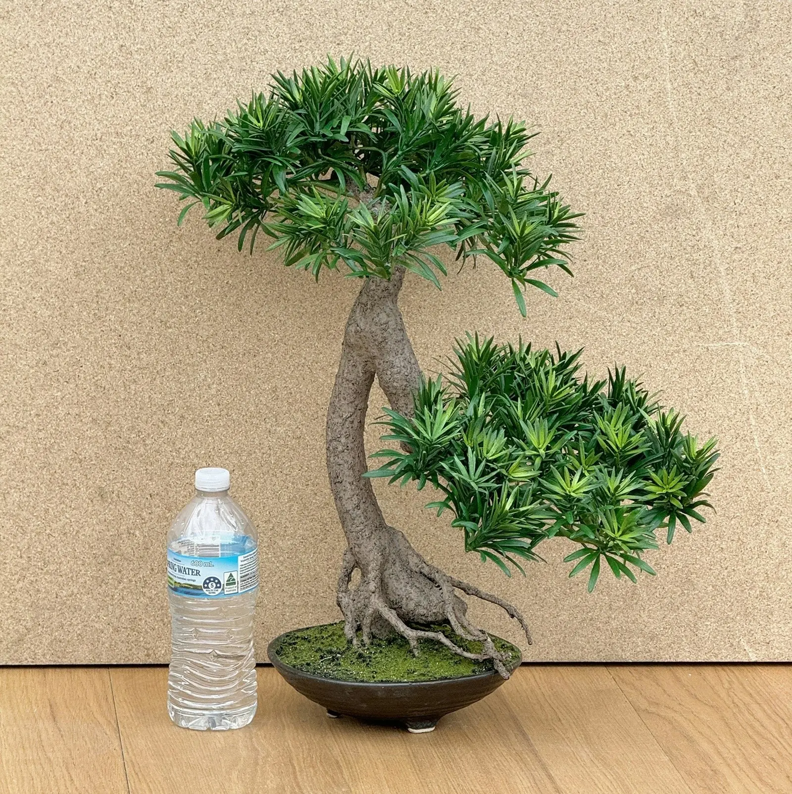 Artificial Plant Buddhist Pine Bonsai - Slanting Exposed Root Fusion 60cm