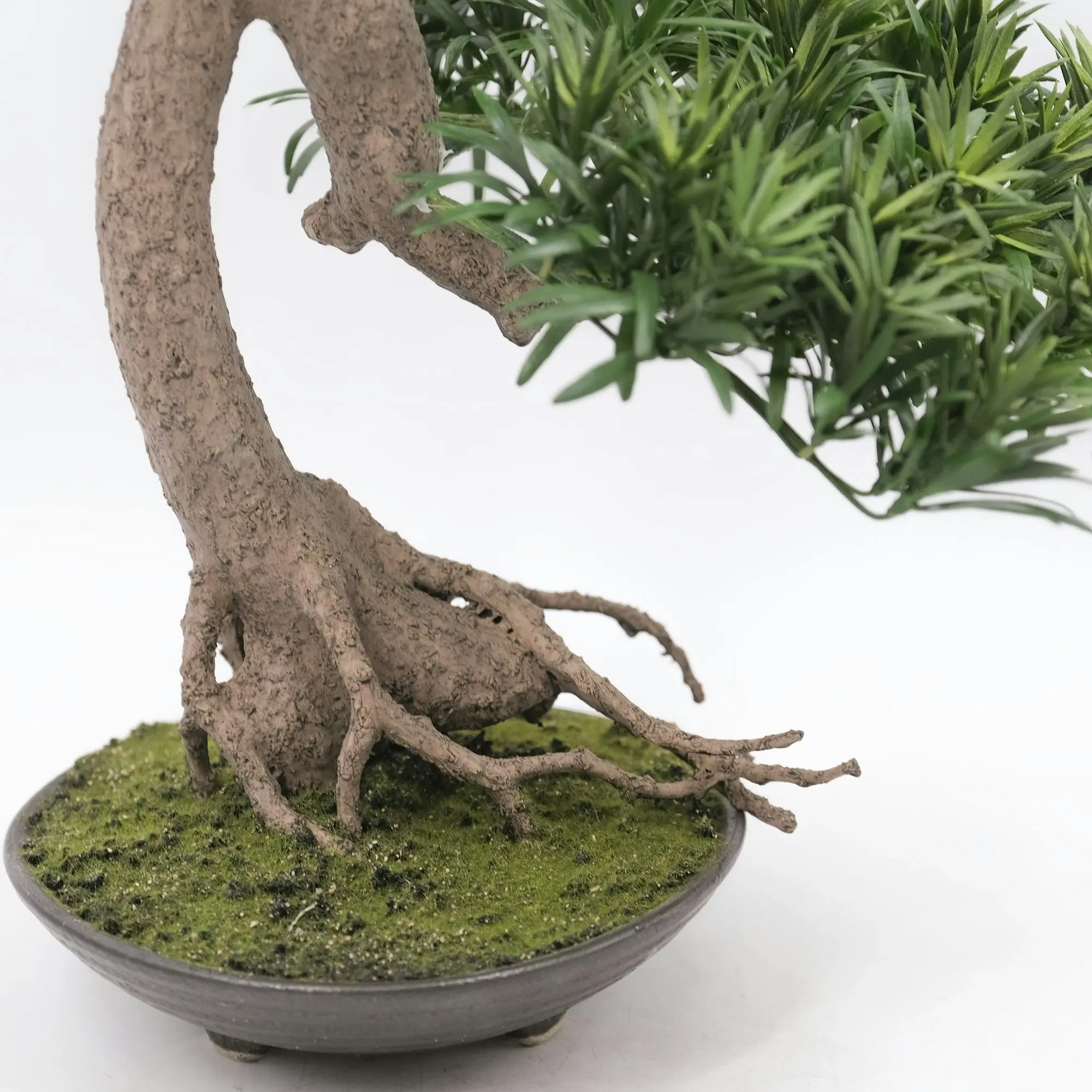 Artificial Plant Buddhist Pine Bonsai - Slanting Exposed Root Fusion 60cm