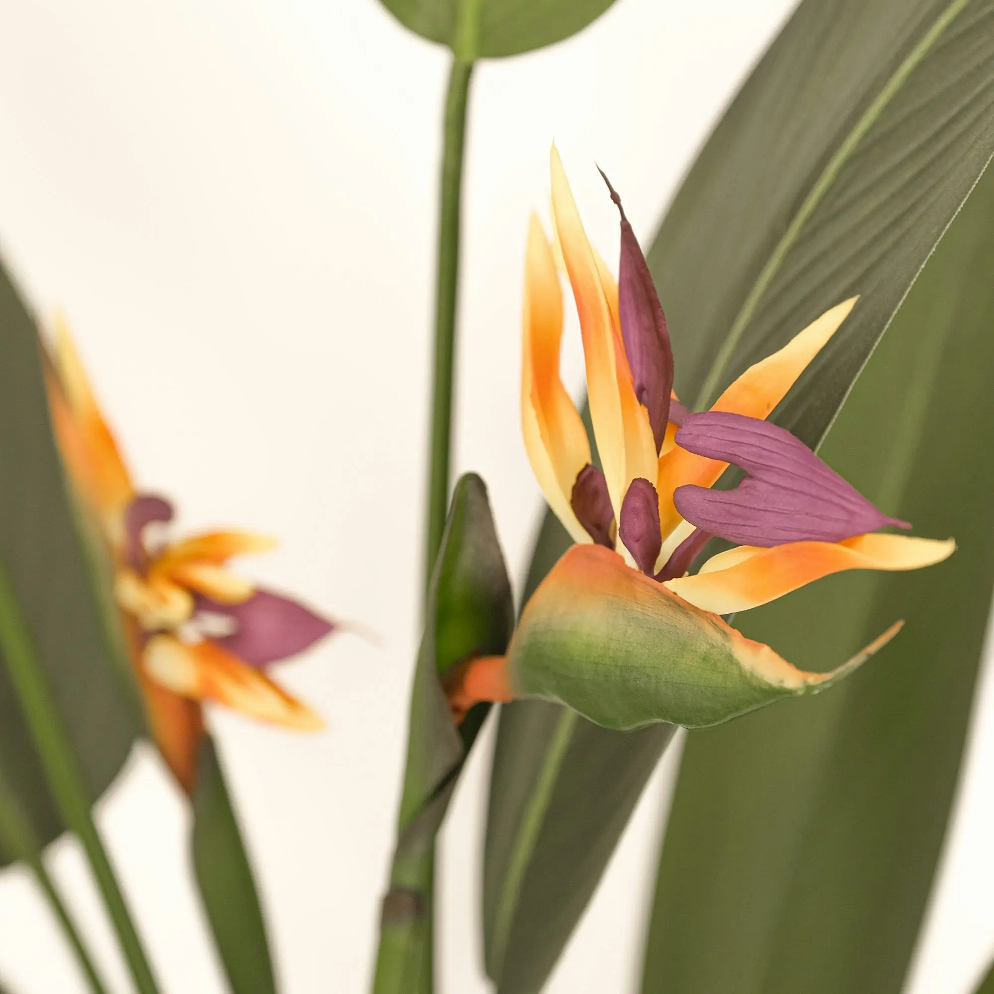 Large Artificial Plants - Giant Bird of Paradise with flowers 150cm