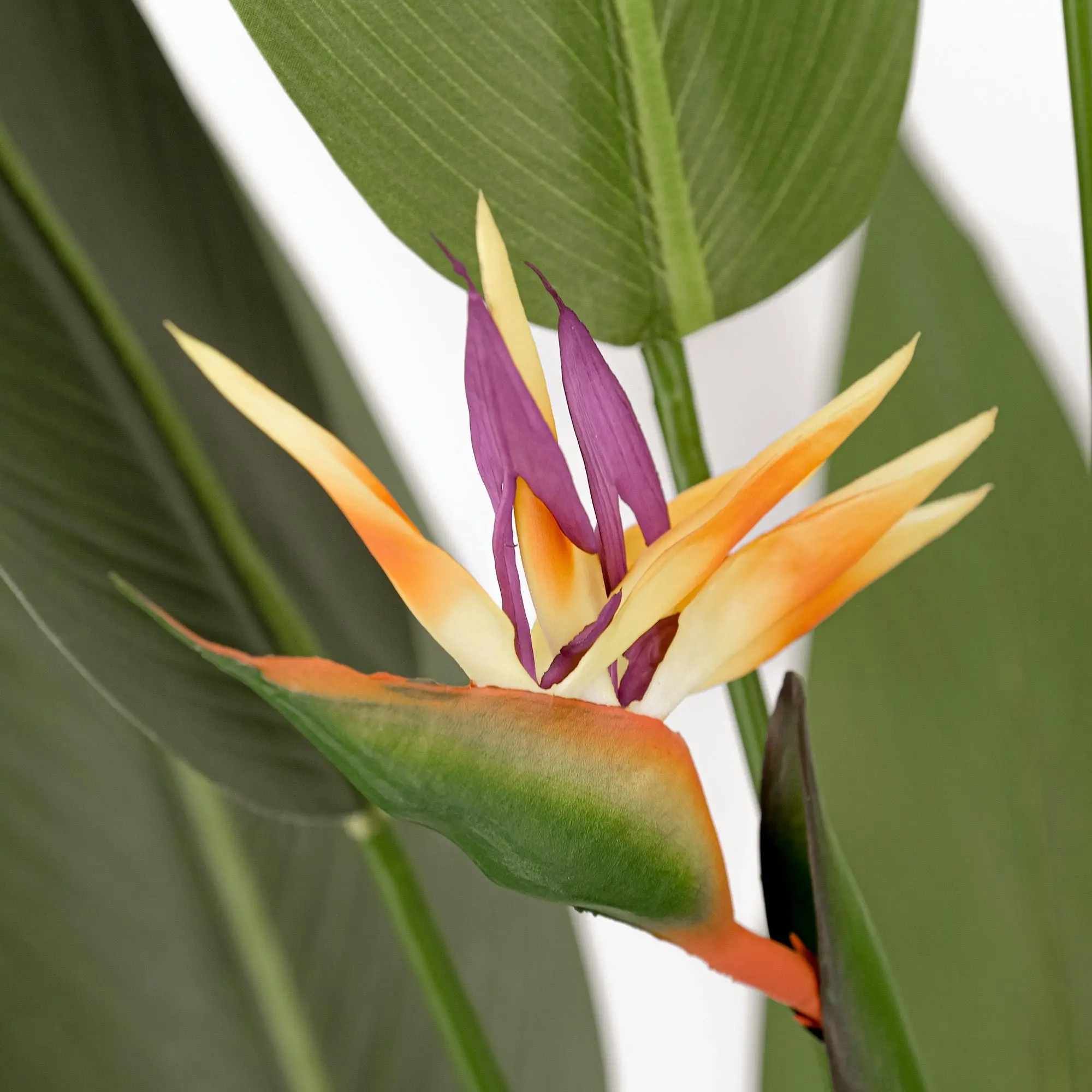 Large Artificial Plants - Giant Bird of Paradise with flowers 180cm