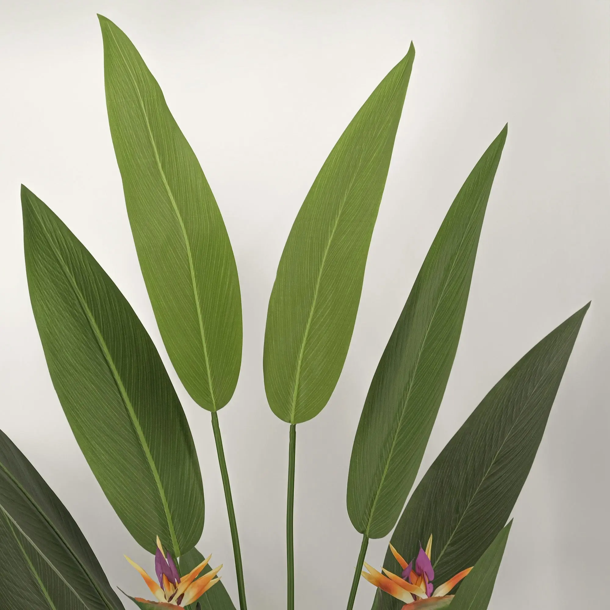 Large Artificial Plants - Giant Bird of Paradise with flowers 180cm