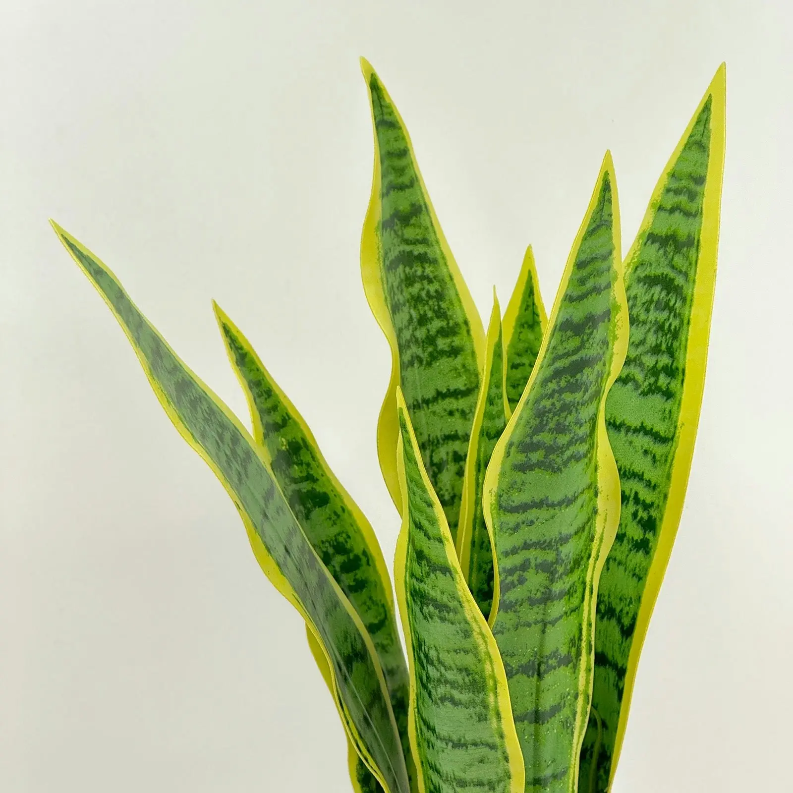 Artificial Plants - Sansevieria 47cm