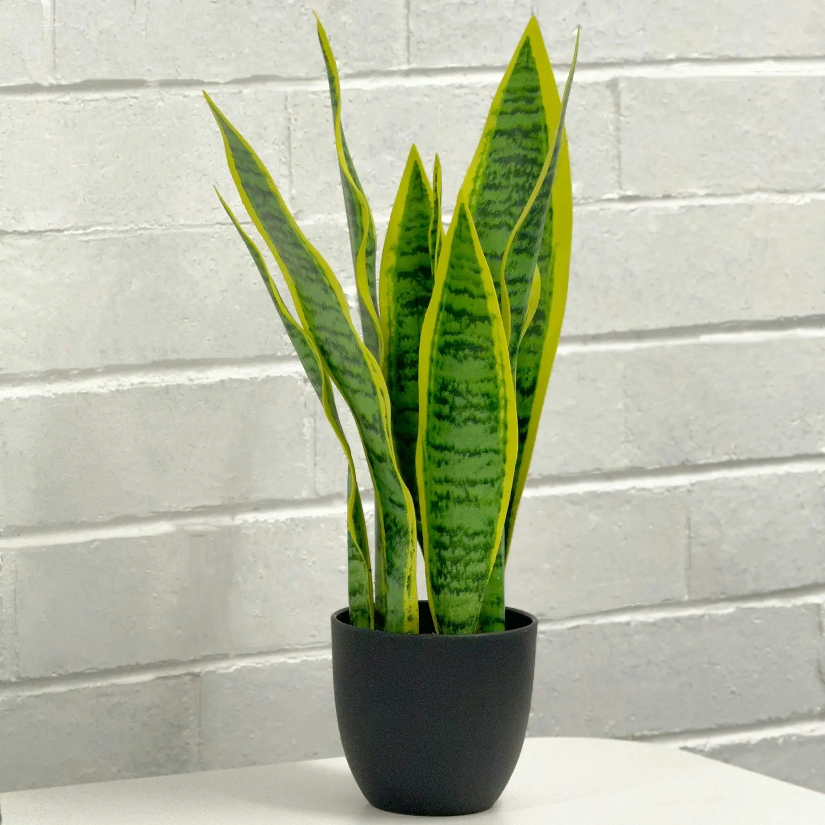 Artificial Plants - Sansevieria 47cm