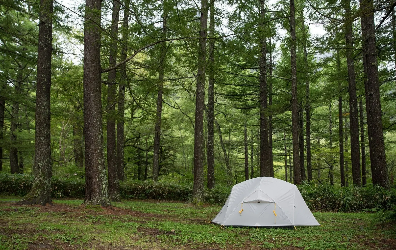 NatureHike 3 Season Mongar Camping Hiking 2 Person Dome Ultralight Backpacking Tent