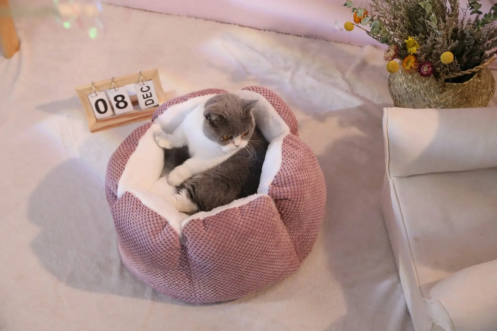 Furbulous Calming Dog Bed Warm Soft Cat Bed Round Comfy Sleeping Nest