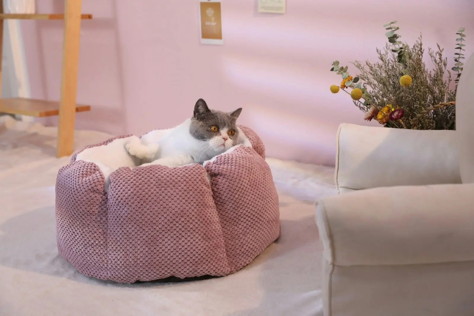 Furbulous Calming Dog Bed Warm Soft Cat Bed Round Comfy Sleeping Nest