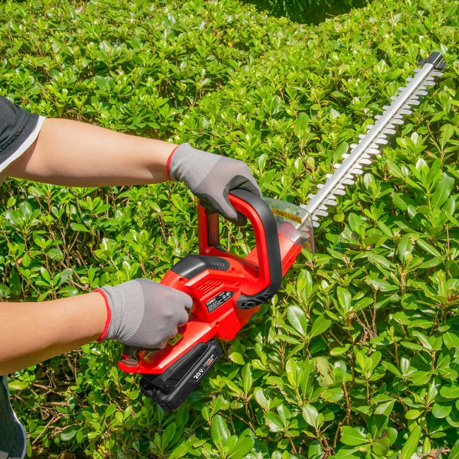 Topex 20V Cordless Hedge Trimmer for Shrub, Cutting, Trimming, Pruning