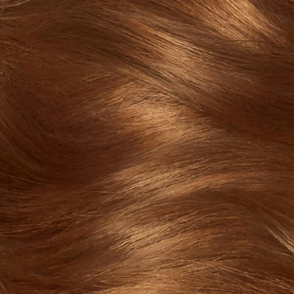 Clairol Nice 'N Easy 6R Light Auburn