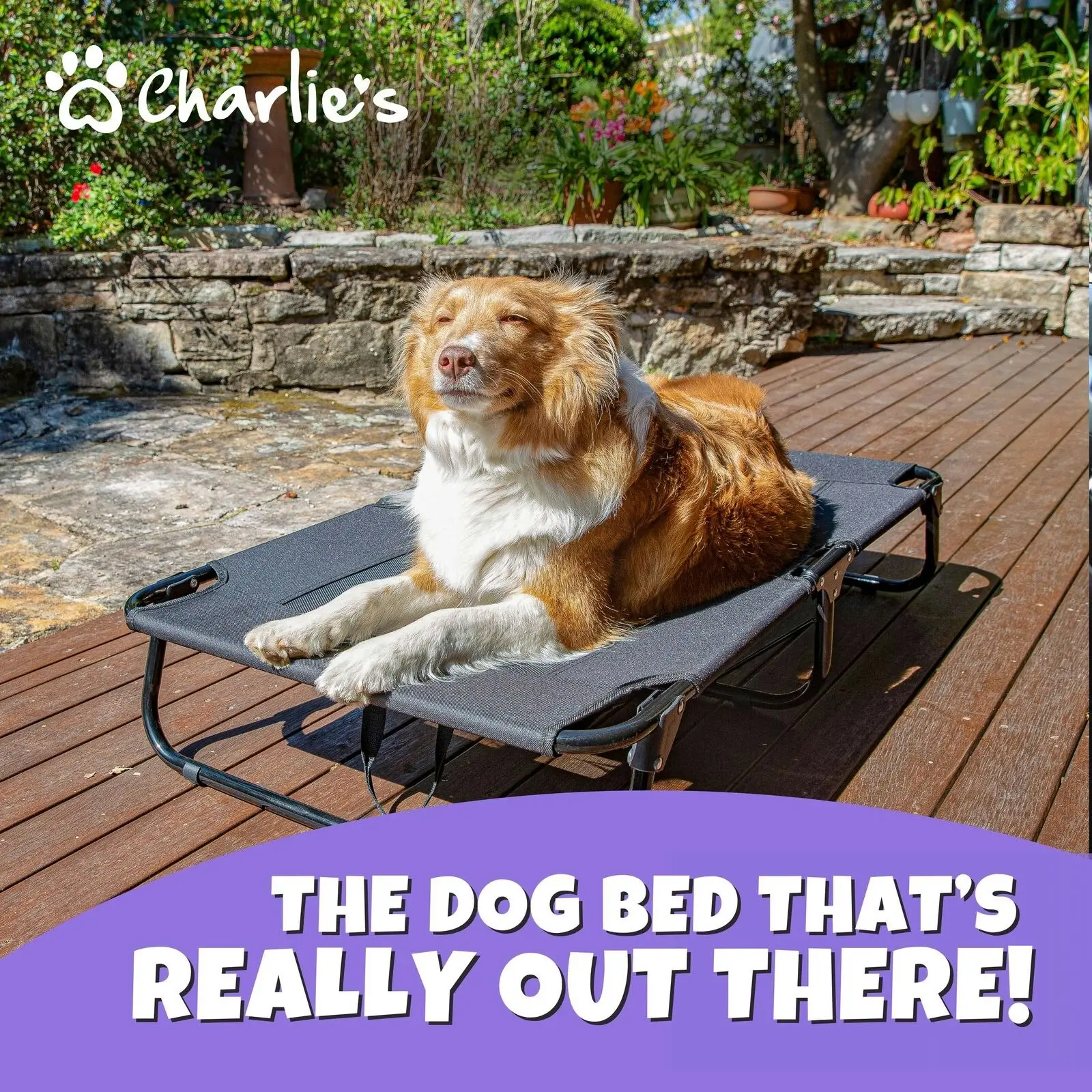 Charlie's Adventure Foldable Travel Trampoline Dog Bed 120x80x22cm X-Large Black