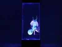 Jellyfish Mood Lamp