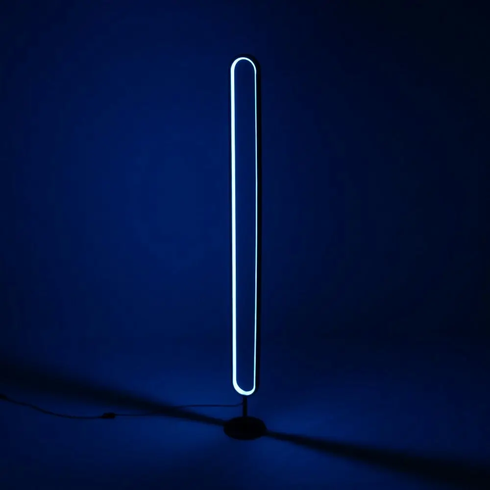 Mood Lighting Floor Lamp