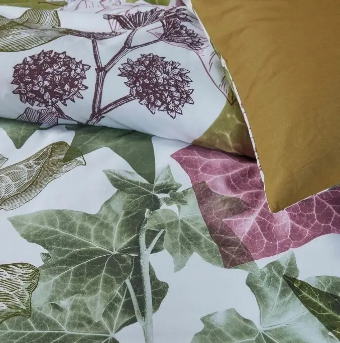 Ivy Multi Cotton Percale Quilt Cover Sets by Bedding House