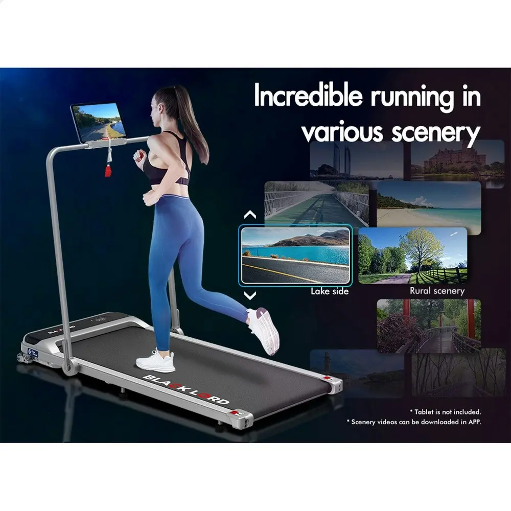 Black Lord Treadmill Electric Walking Pad Home Office Incline Foldable Silver