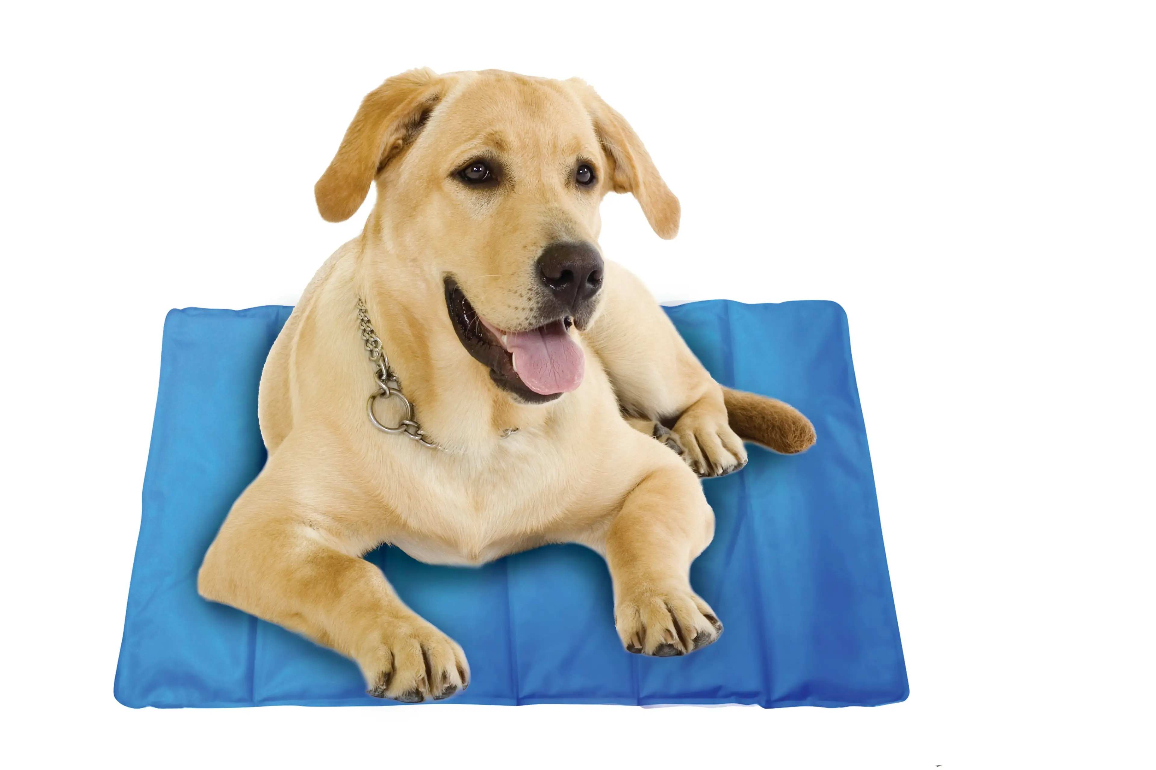 Spatastic Jumbo Pet Cooling Mat