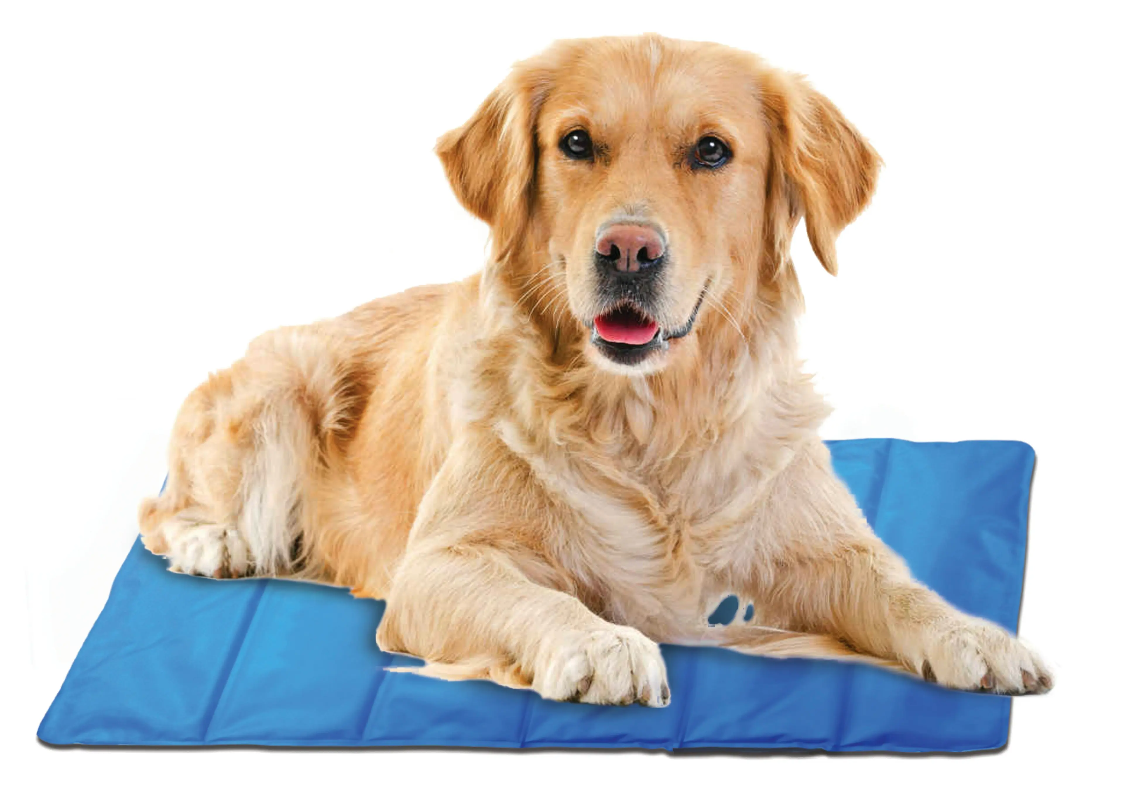 Spatastic Jumbo Pet Cooling Mat