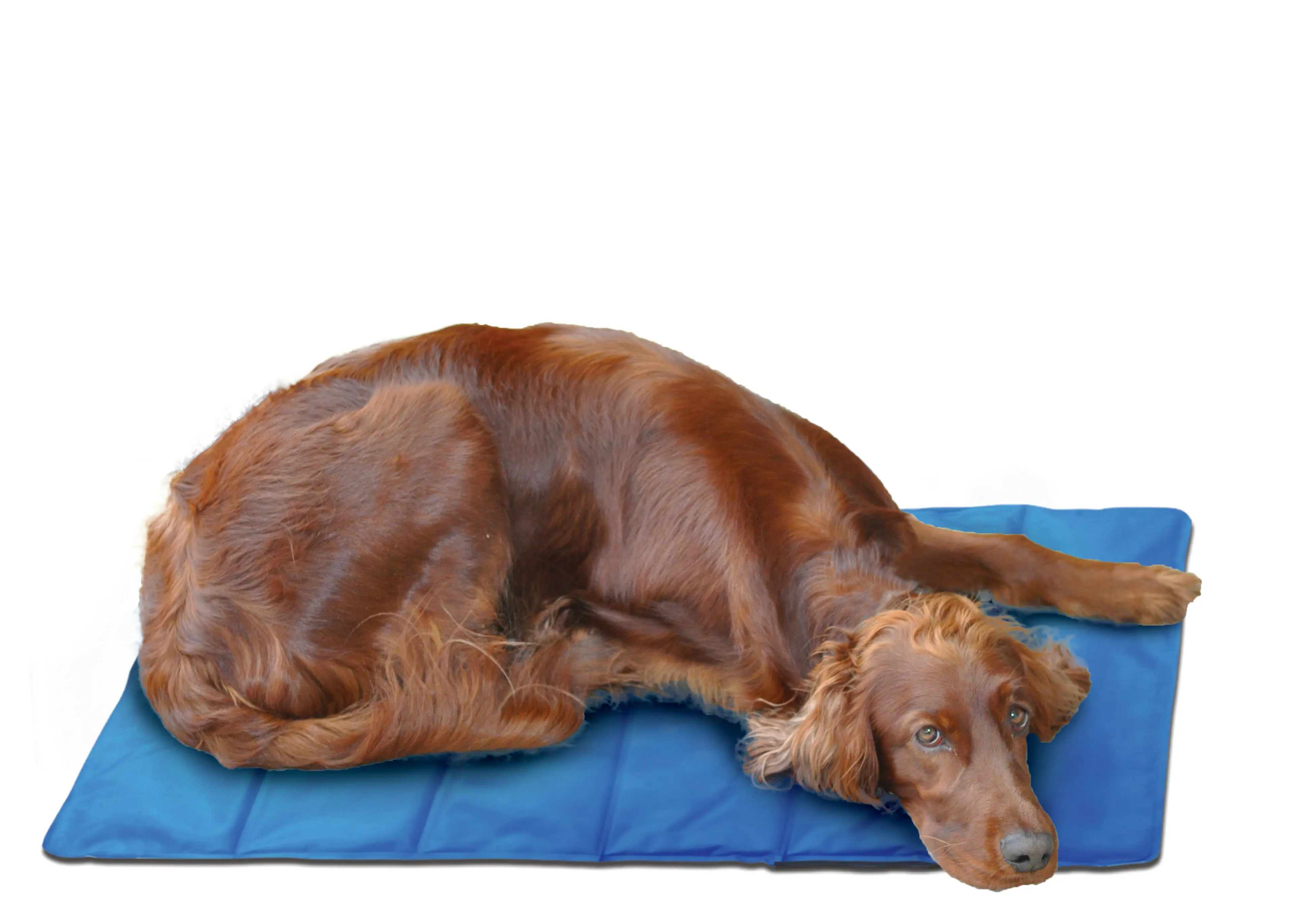 Spatastic Jumbo Pet Cooling Mat