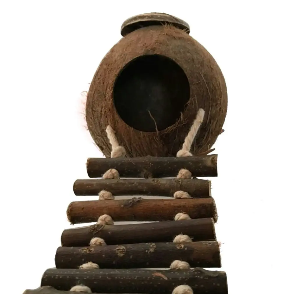 Natural Coconut Shell Small Bird Nesting House with Ladder Toy