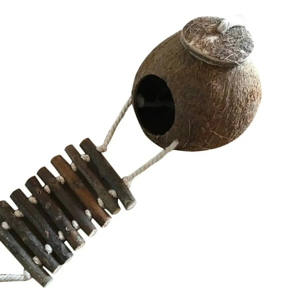 Natural Coconut Shell Small Bird Nesting House with Ladder Toy