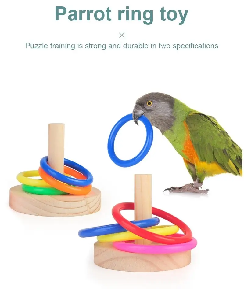 Interactive Parrot Bird Ring Educational Training Toy