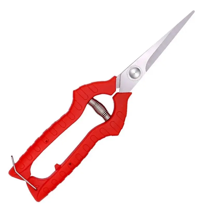 Fine shears for cuttings delicate plants and propagation