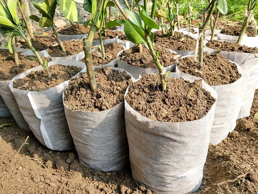 18 Sizes Biodegradable Non-woven Seedling Nursery Grow Bags