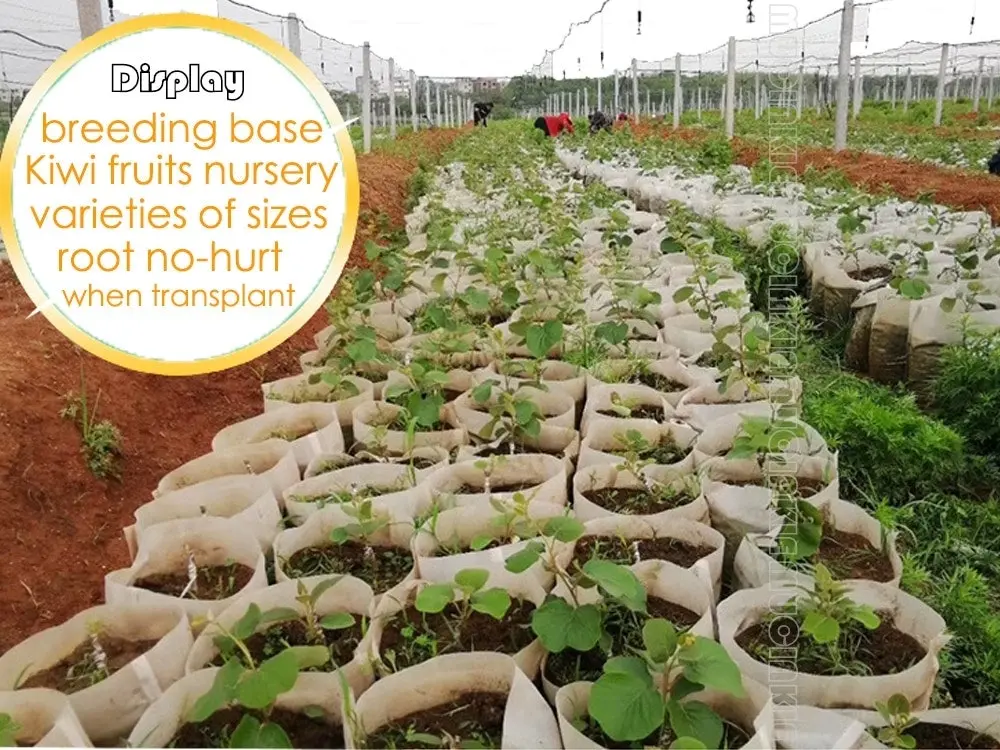 18 Sizes Biodegradable Non-woven Seedling Nursery Grow Bags