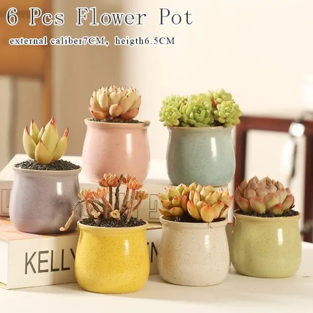 1-6pc Decorative Mini Ceramic Succulent Cactus Pots