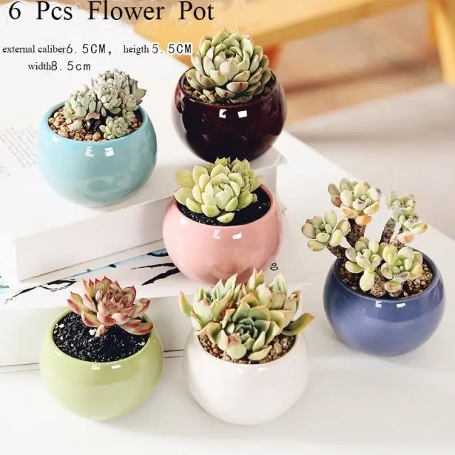 1-6pc Decorative Mini Ceramic Succulent Cactus Pots