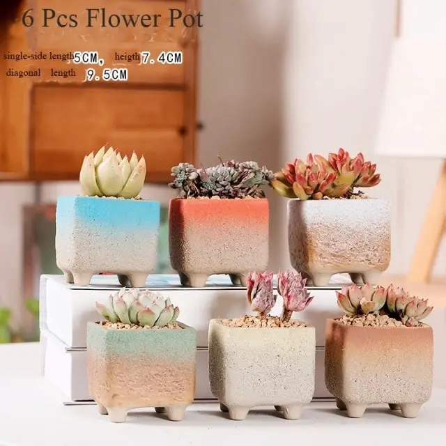 1-6pc Decorative Mini Ceramic Succulent Cactus Pots