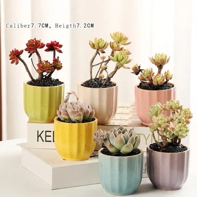 1-6pc Decorative Mini Ceramic Succulent Cactus Pots