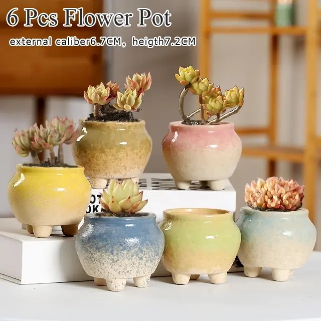 1-6pc Decorative Mini Ceramic Succulent Cactus Pots