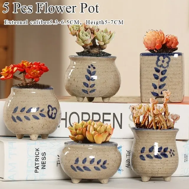 1-6pc Decorative Mini Ceramic Succulent Cactus Pots