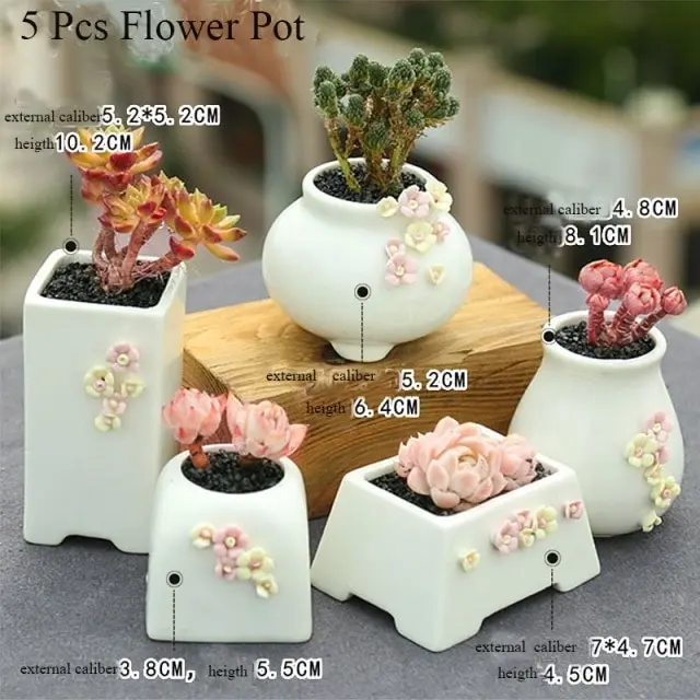 1-6pc Decorative Mini Ceramic Succulent Cactus Pots