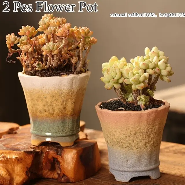 1-6pc Decorative Mini Ceramic Succulent Cactus Pots