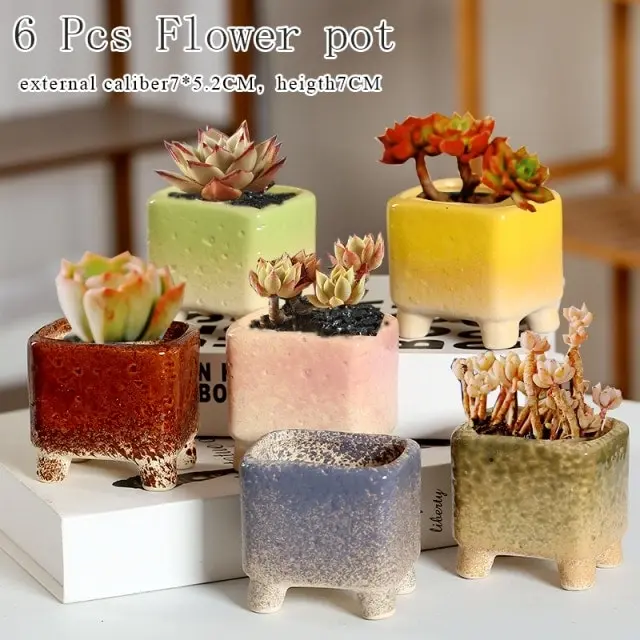 1-6pc Decorative Mini Ceramic Succulent Cactus Pots